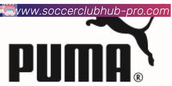 美加墨世界杯赔率官方网站合作伙伴